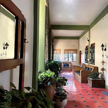 The Homestead B&B Shillong Eksteriør billede